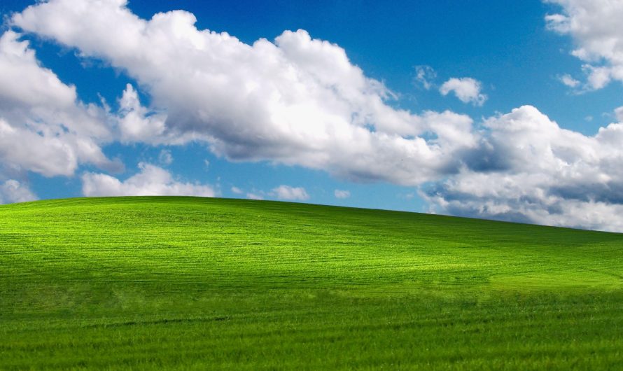 Четыре способа установить Windows XP на Windows 10